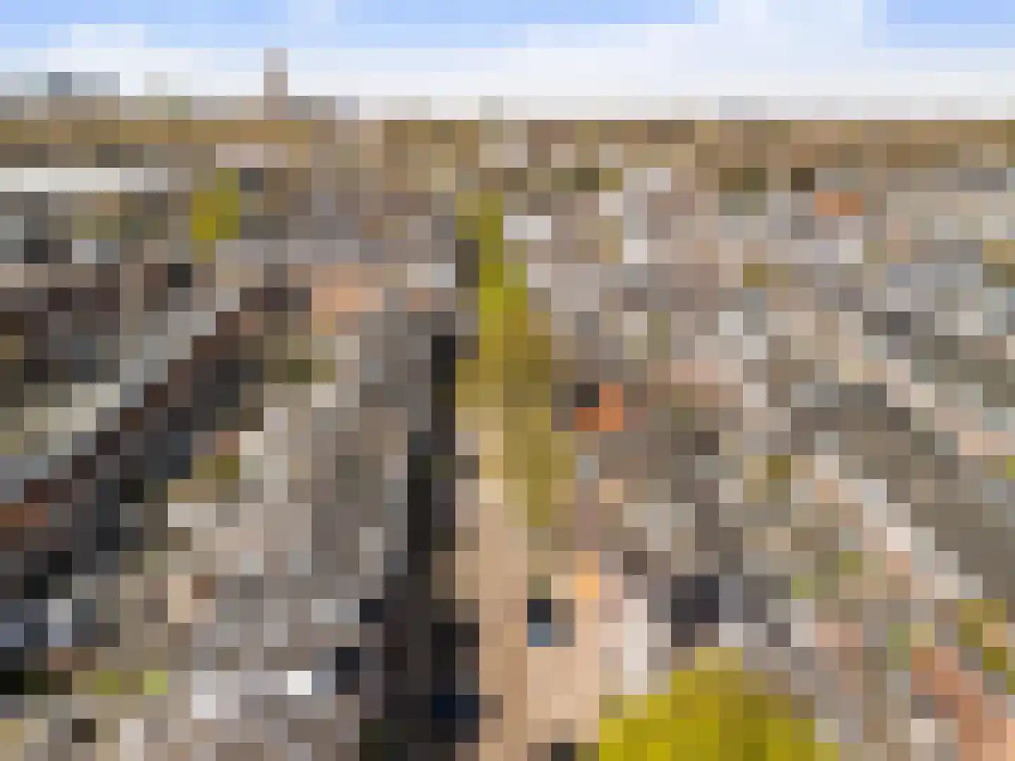 Beukstraat 56 Utrecht thumbnail 32