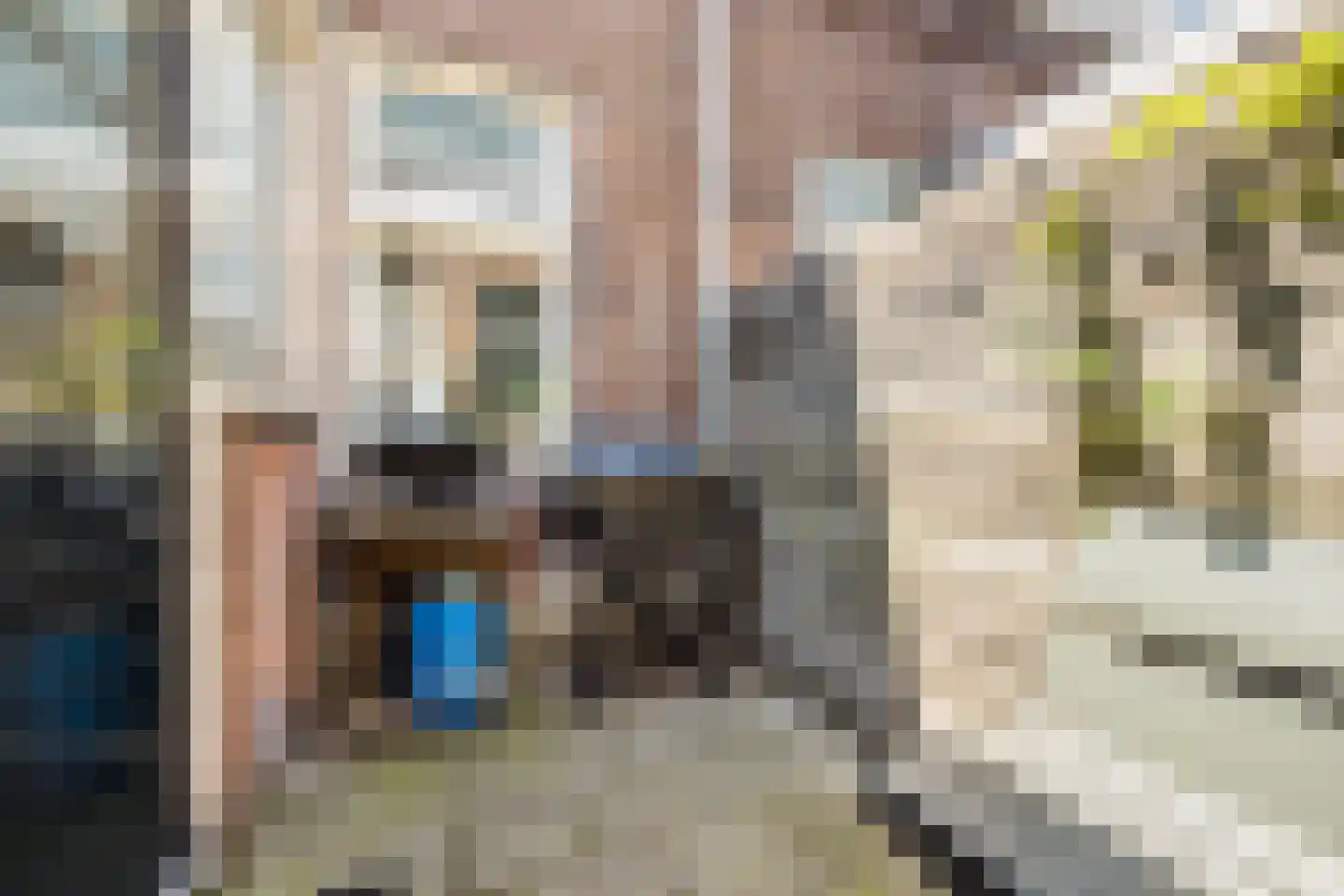Beukstraat 6 Utrecht thumbnail 12