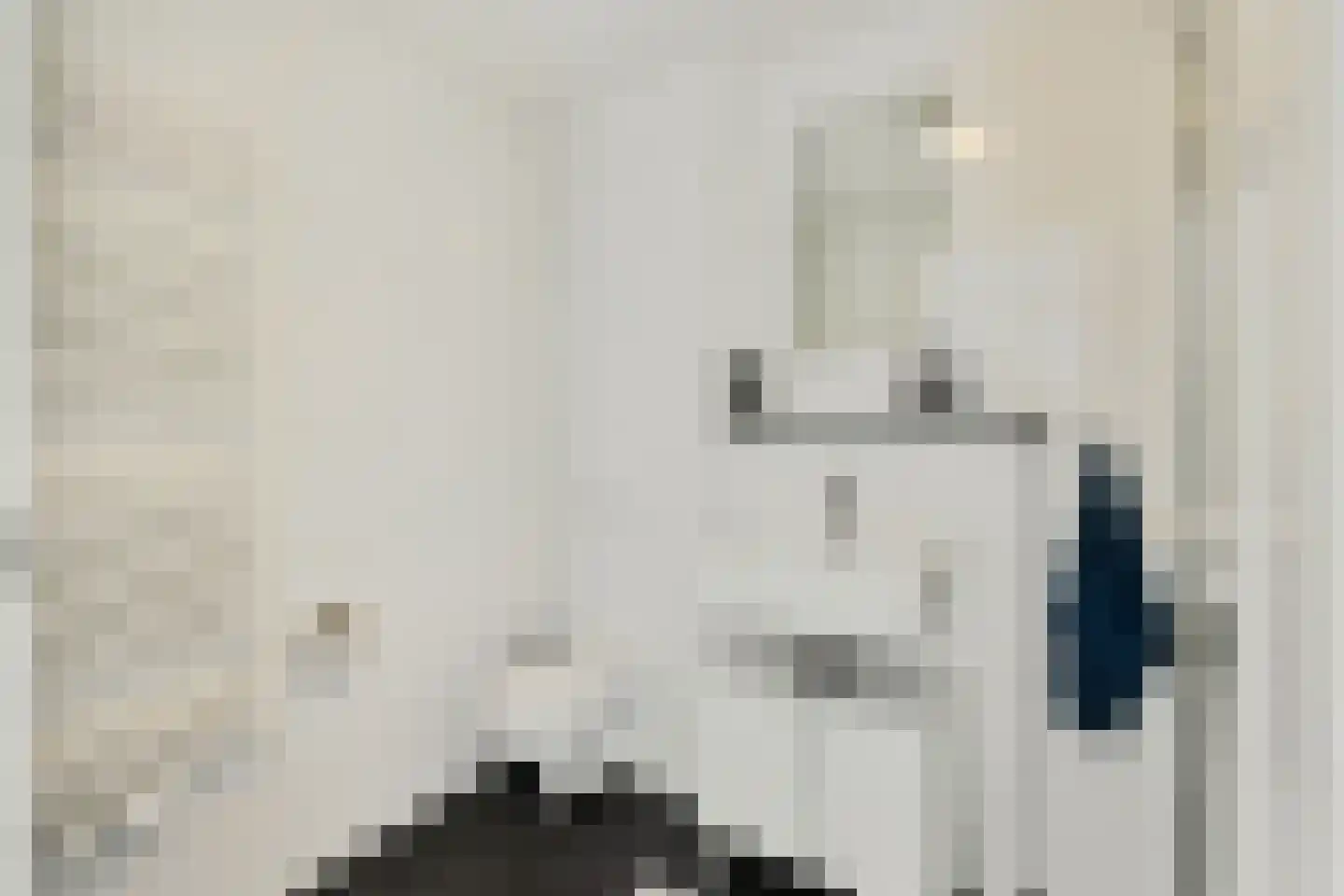 Beukstraat 6 Utrecht thumbnail 17