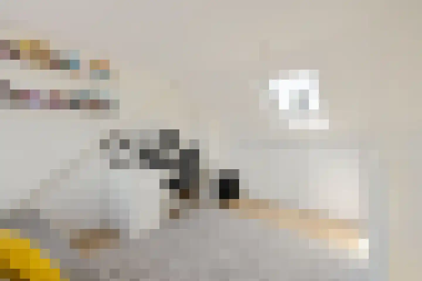 Beukstraat 6 Utrecht thumbnail 20