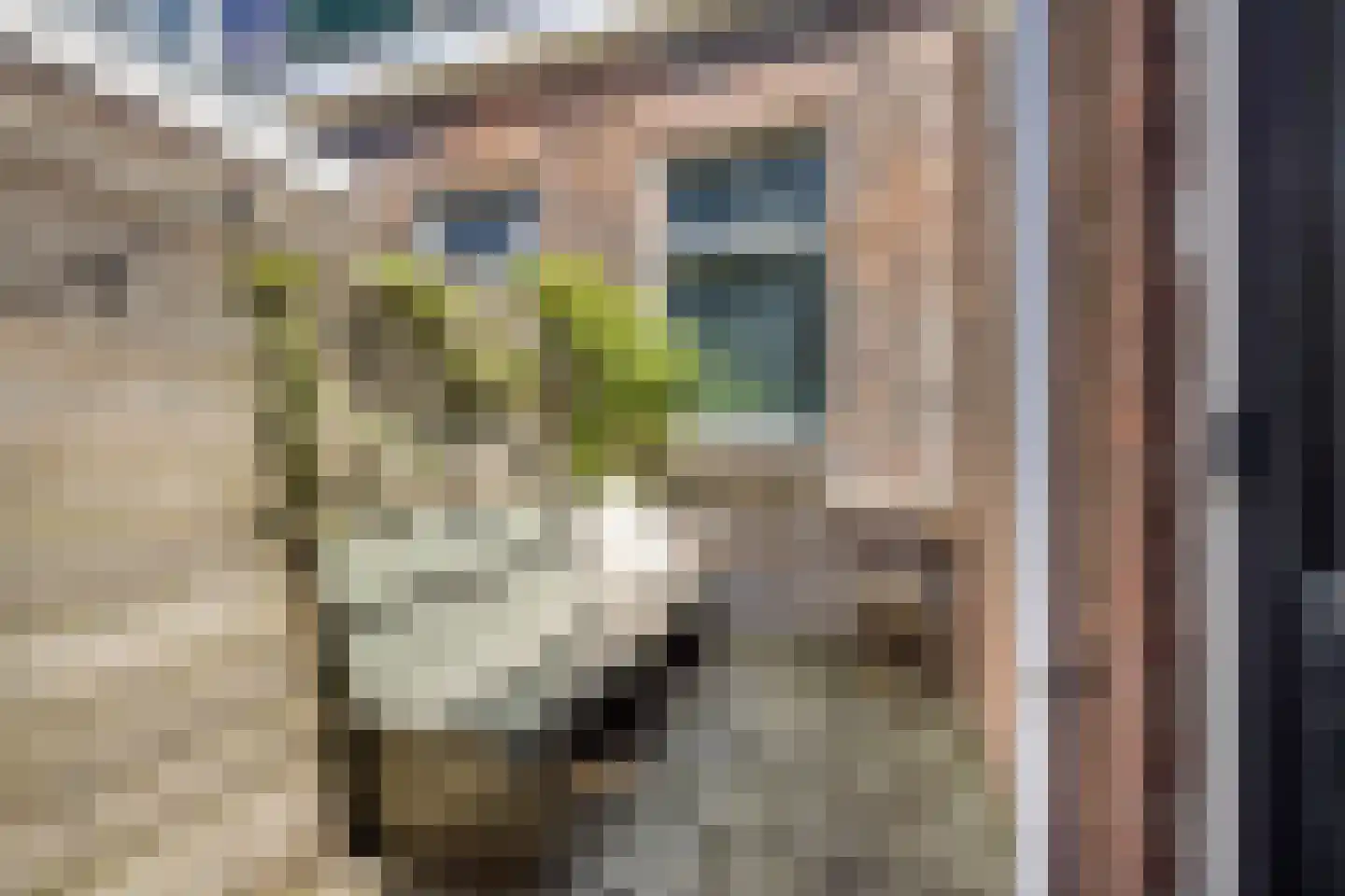 Beukstraat 6 Utrecht thumbnail 4
