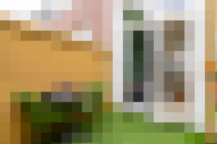 Beukstraat 63 Utrecht thumbnail 18