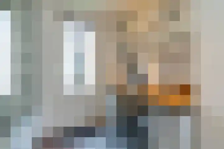 Beukstraat 63 Utrecht thumbnail 22