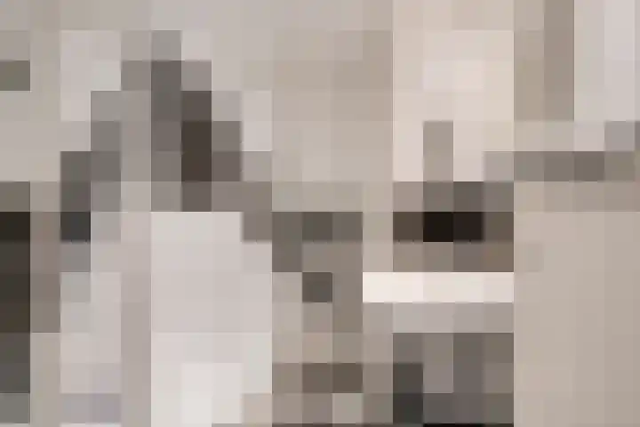 Beukstraat 63 Utrecht thumbnail 32