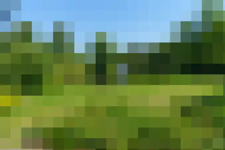 Beukstraat 63 Utrecht thumbnail 4