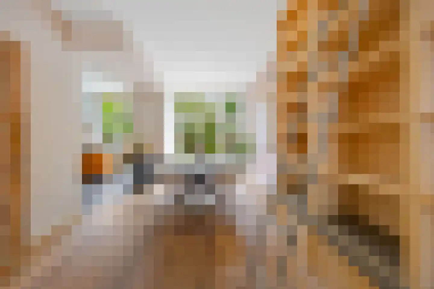 Beukstraat 72 Den Haag thumbnail 10