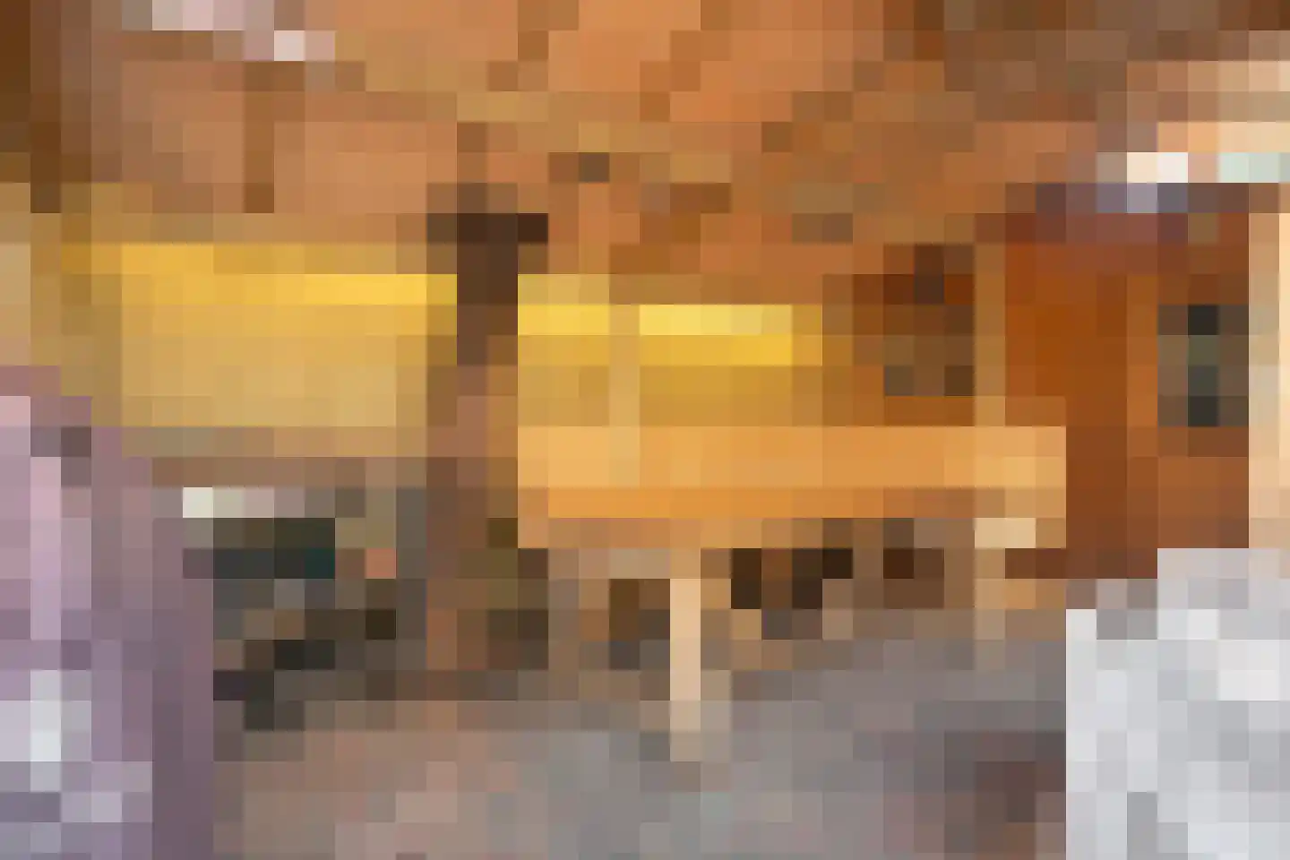 Beukstraat 72 Den Haag thumbnail 22