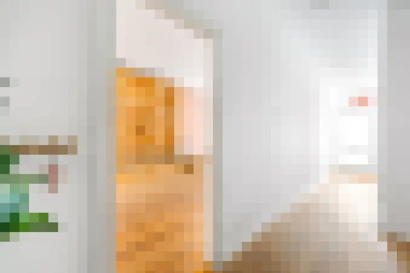 Beukstraat 72 Den Haag thumbnail 6