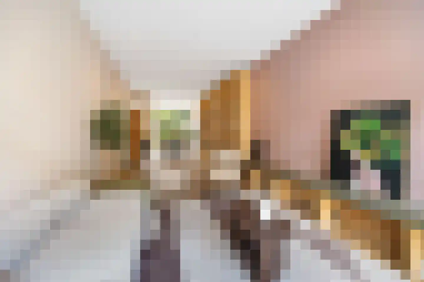 Beukstraat 72 Den Haag thumbnail 9