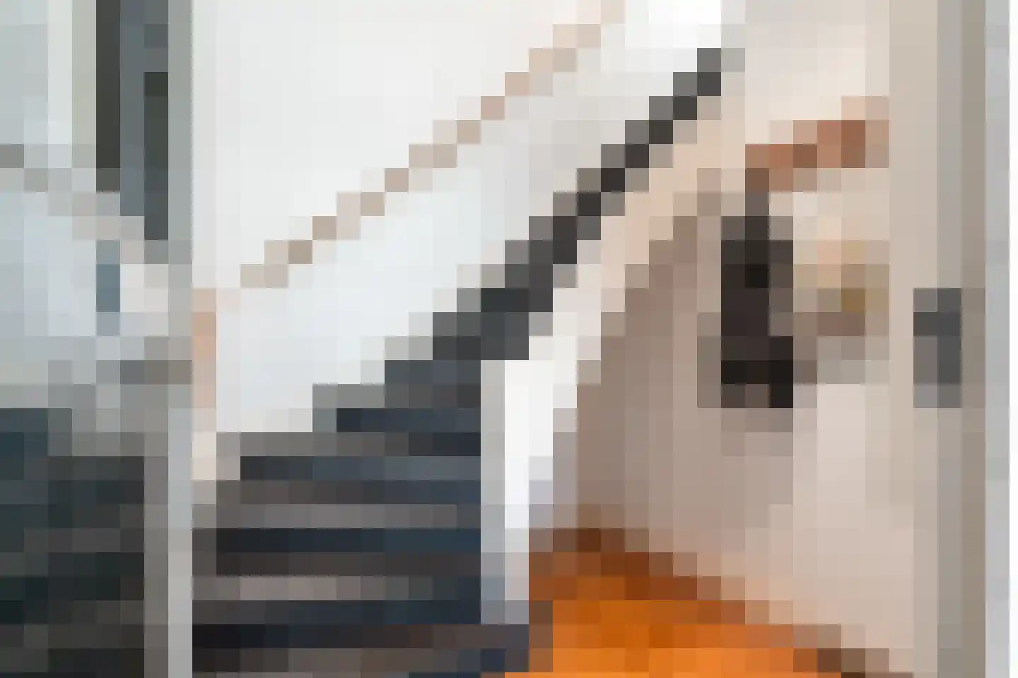 Beukstraat 92 Den Haag thumbnail 8