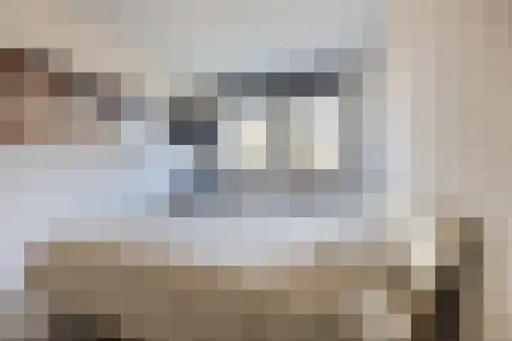 Beukstraat 96 Bergen op Zoom thumbnail 16