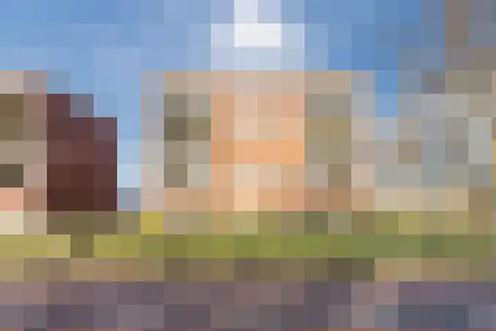 Beukstraat 96 Bergen op Zoom thumbnail 31