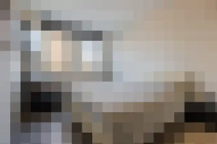 Beukstraat 96 Bergen op Zoom thumbnail 4