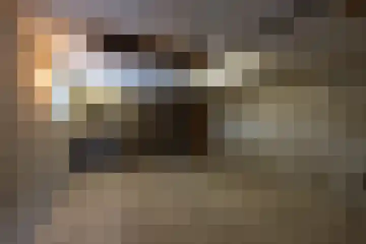 Beuksveld 24 Winterswijk Meddo thumbnail 27