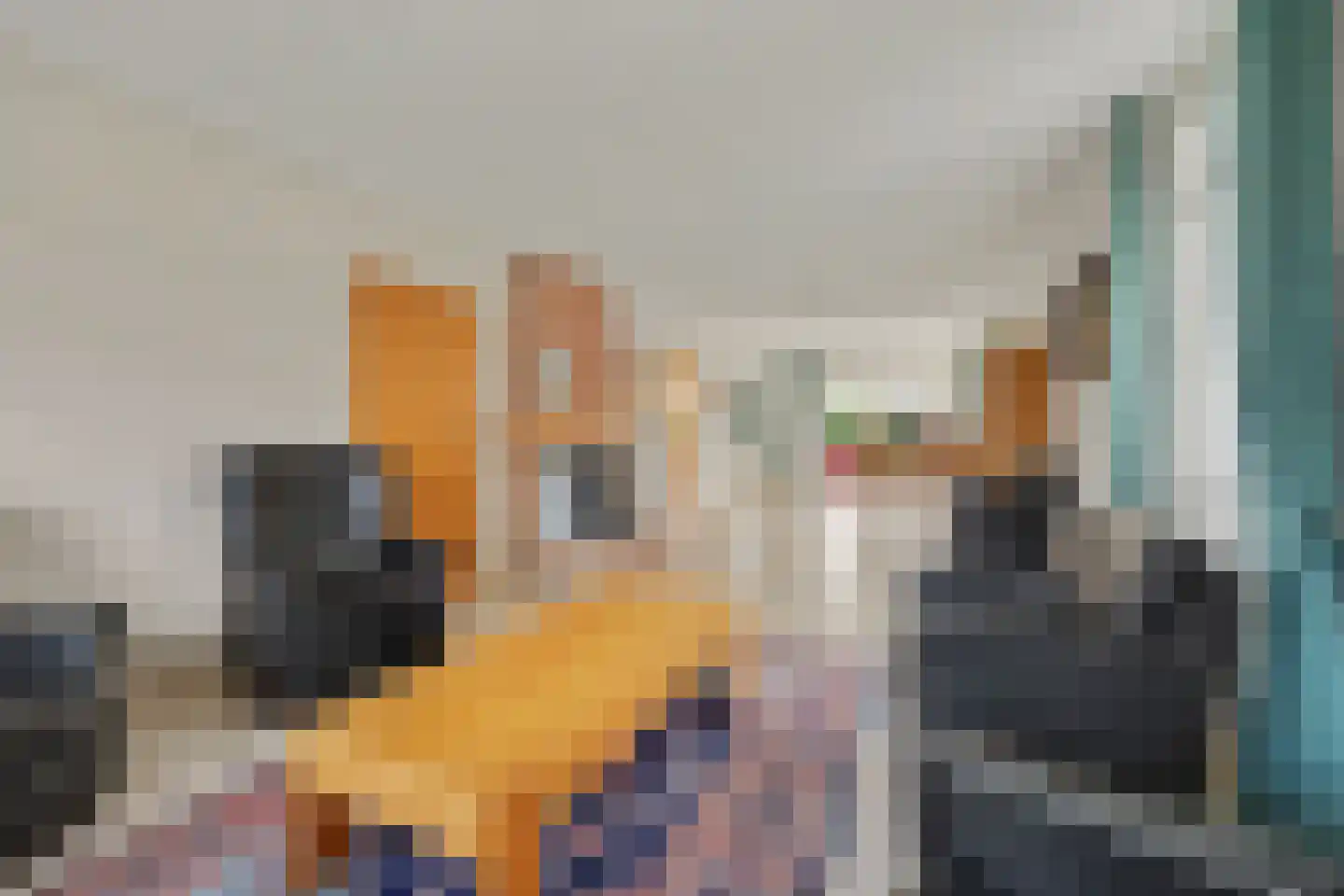 Beuksveld 35 Winterswijk Meddo thumbnail 13