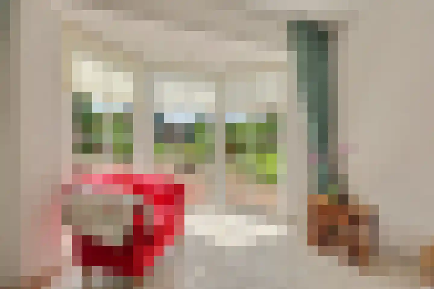 Beuksveld 35 Winterswijk Meddo thumbnail 18