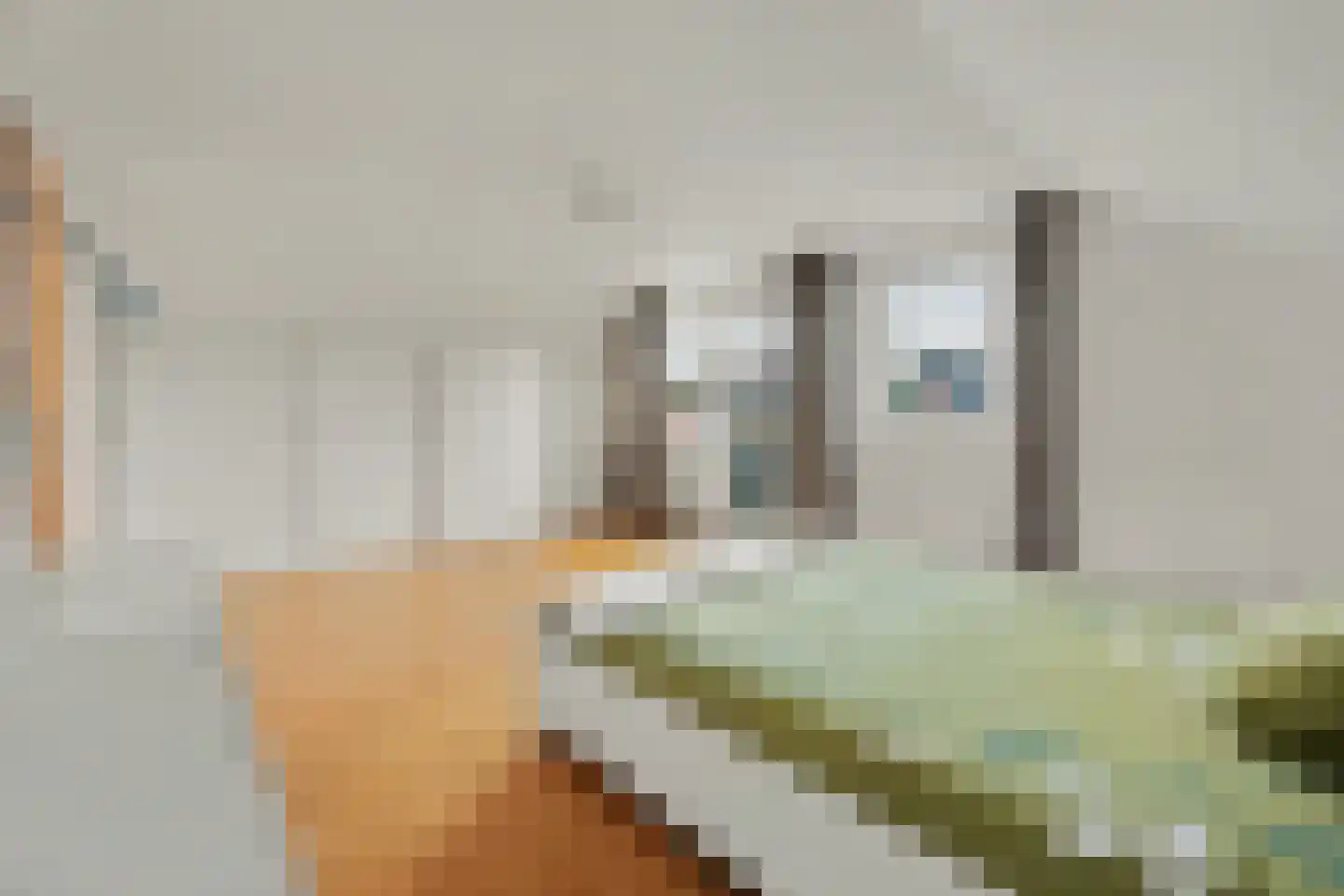 Beuksveld 35 Winterswijk Meddo thumbnail 35
