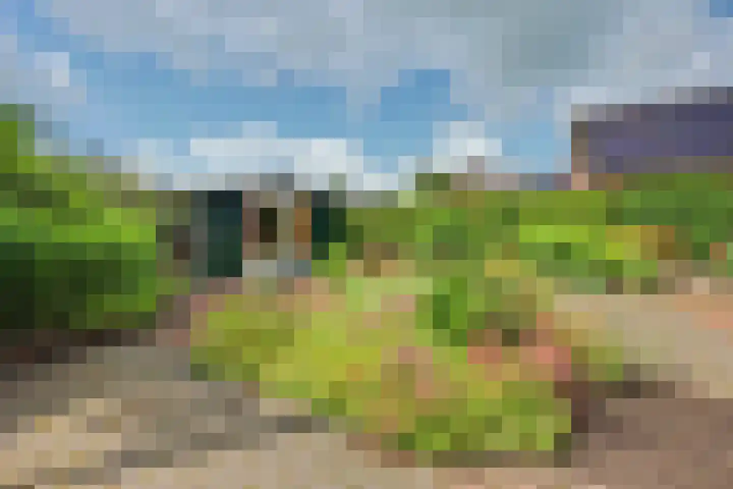 Beuksveld 35 Winterswijk Meddo thumbnail 51