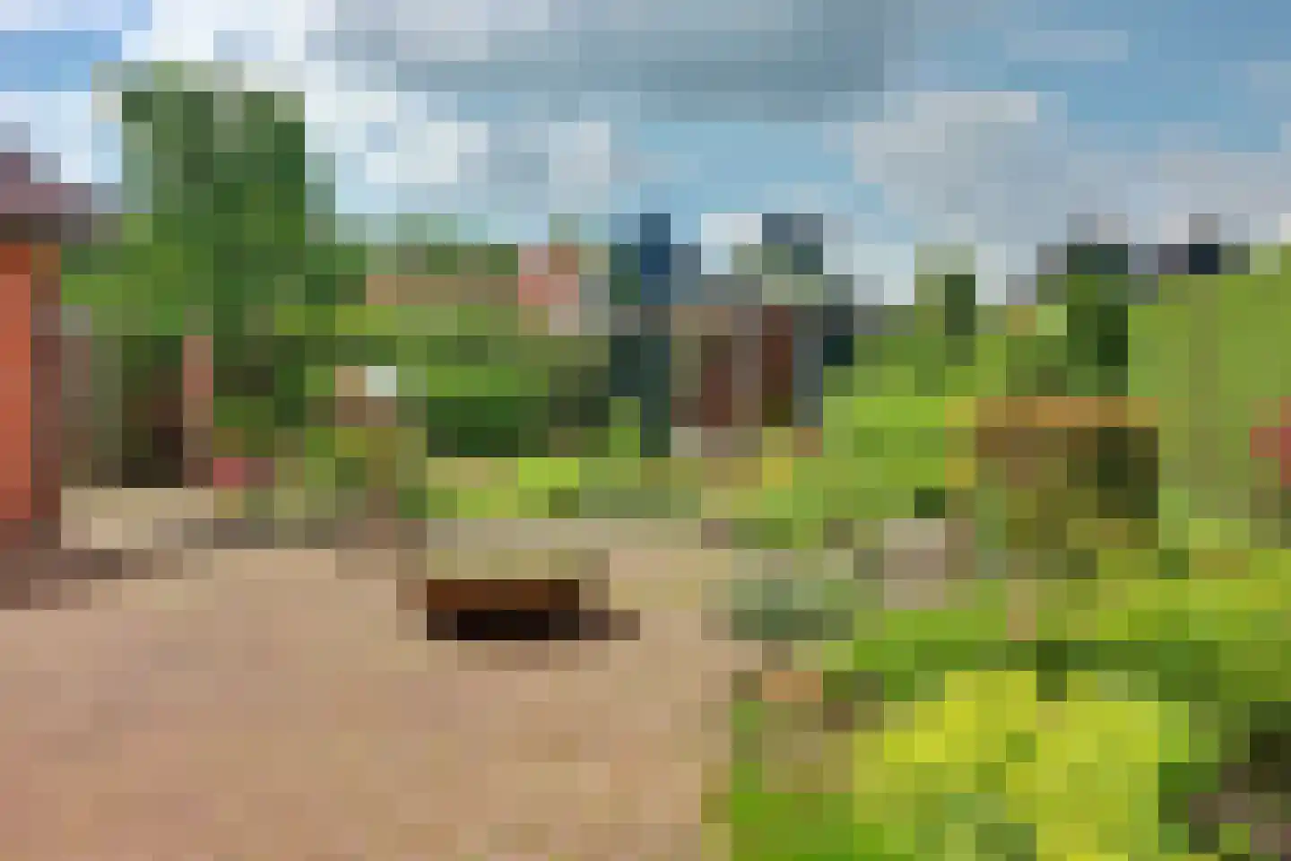 Beuksveld 35 Winterswijk Meddo thumbnail 53