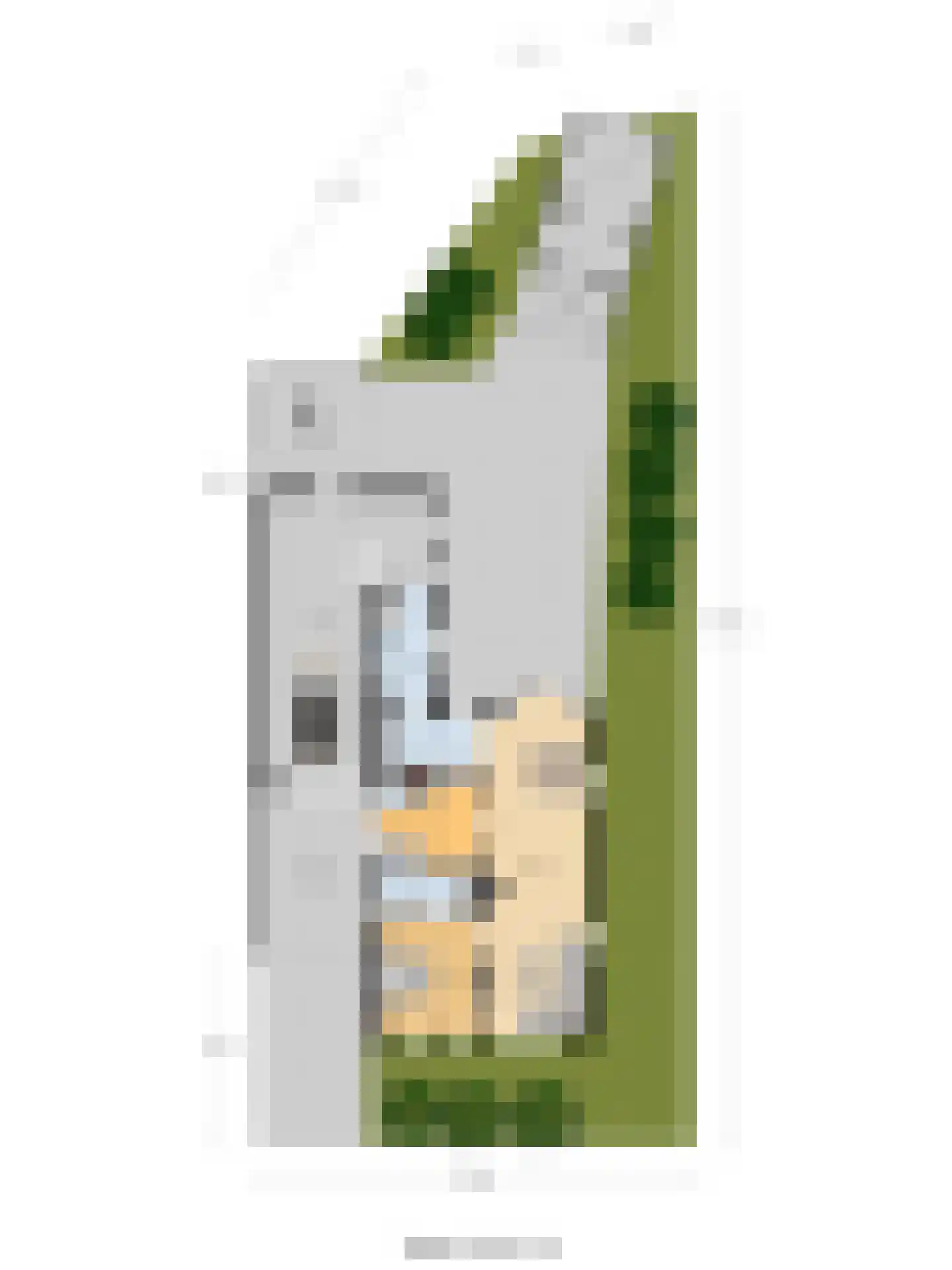 Beuksveld 35 Winterswijk Meddo thumbnail 63