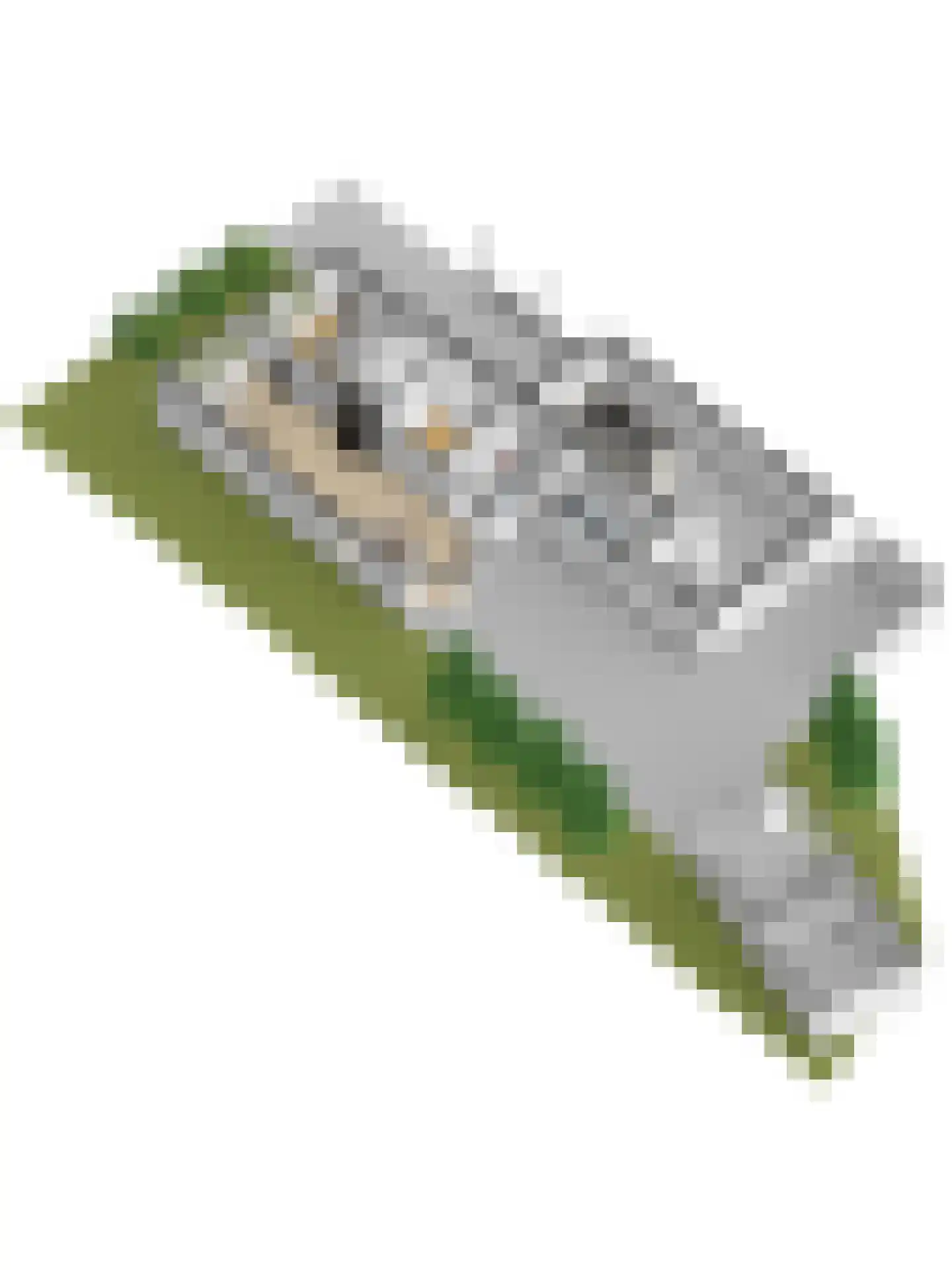 Beuksveld 35 Winterswijk Meddo thumbnail 64