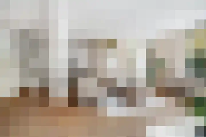 Beukvaren 3 Rotterdam thumbnail 11
