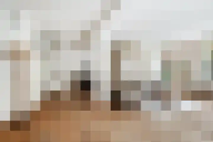 Beukvaren 3 Rotterdam thumbnail 12