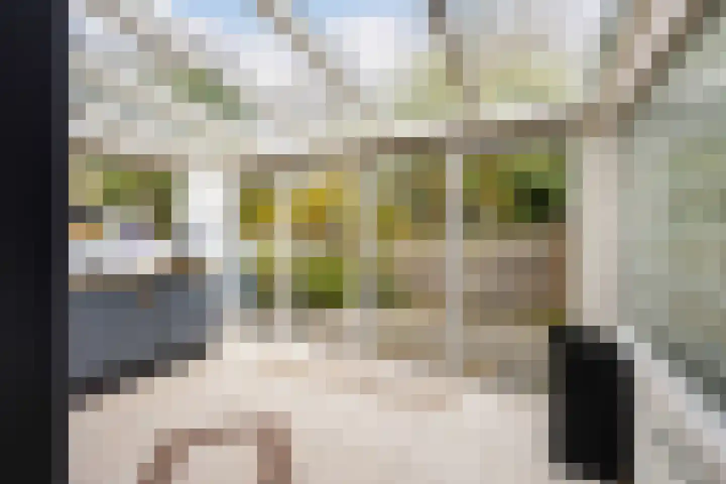 Beukvaren 3 Rotterdam thumbnail 13