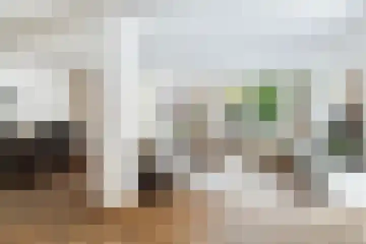Beukvaren 3 Rotterdam thumbnail 13