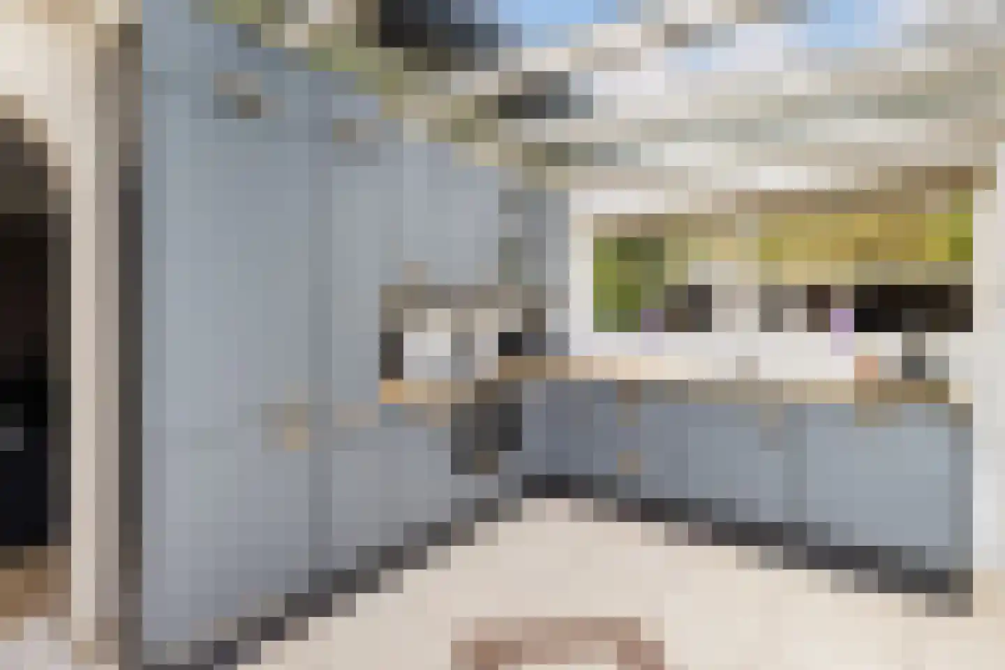 Beukvaren 3 Rotterdam thumbnail 15