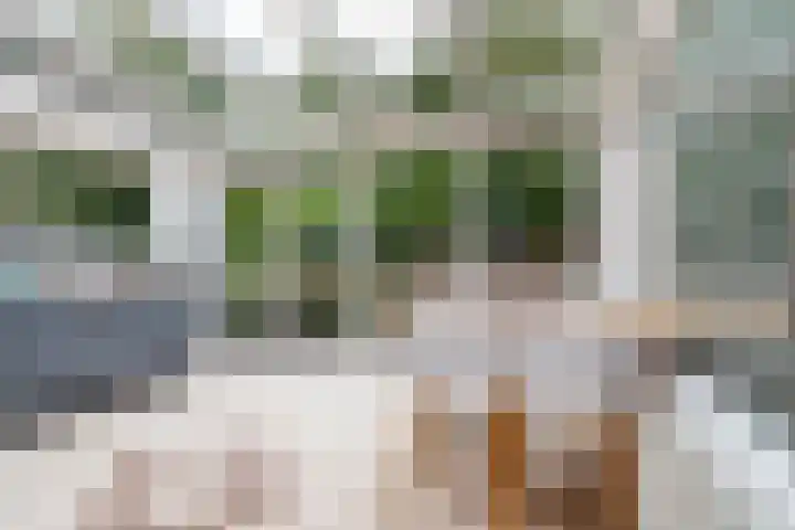 Beukvaren 3 Rotterdam thumbnail 18