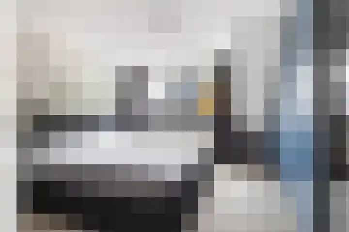 Beukvaren 3 Rotterdam thumbnail 23
