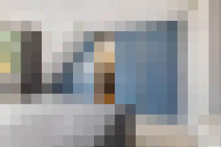 Beukvaren 3 Rotterdam thumbnail 25
