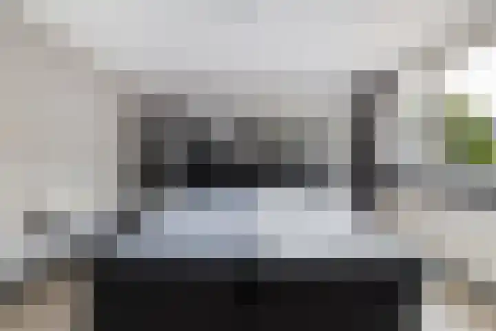 Beukvaren 3 Rotterdam thumbnail 27