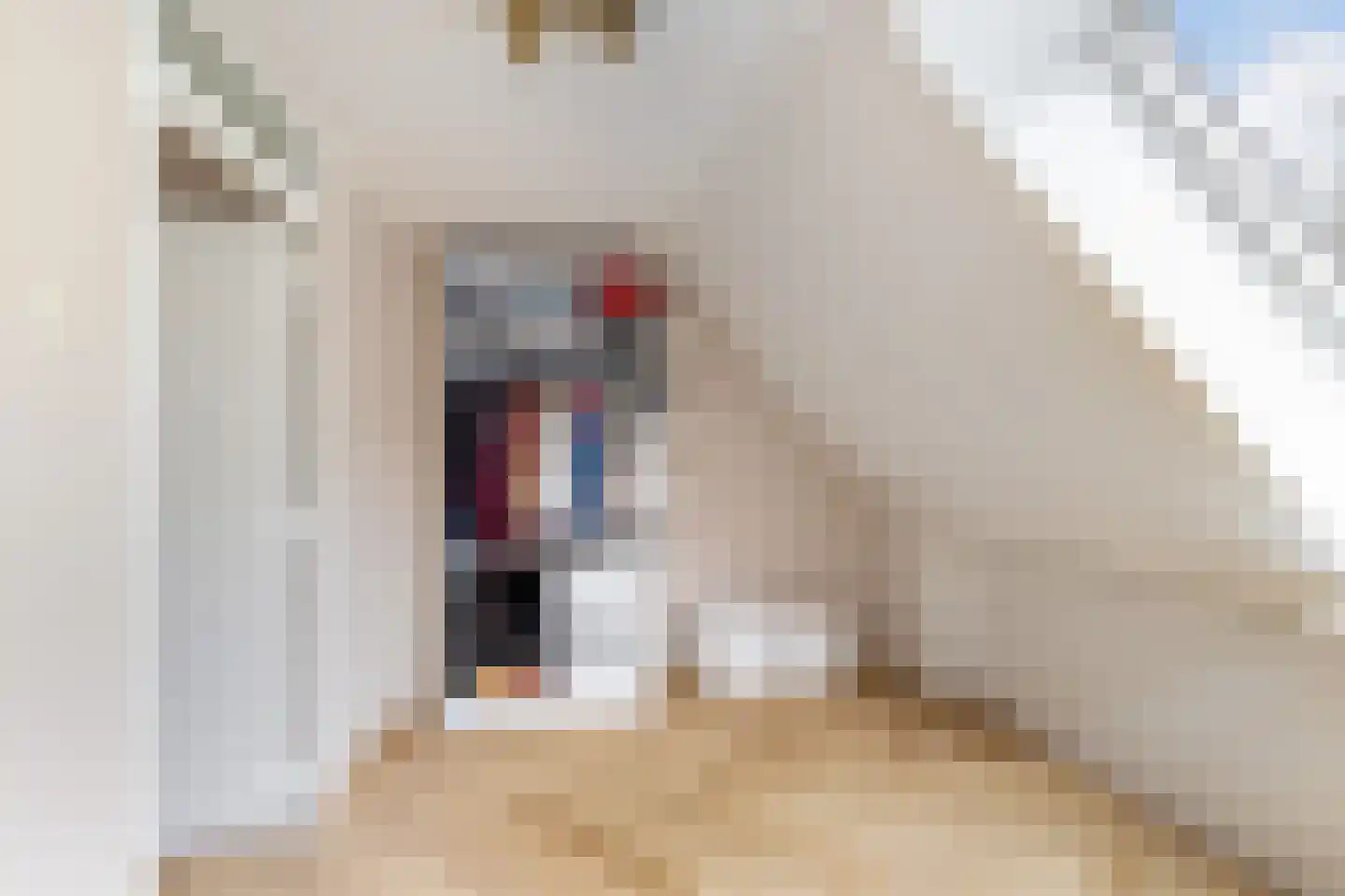Beukvaren 3 Rotterdam thumbnail 30