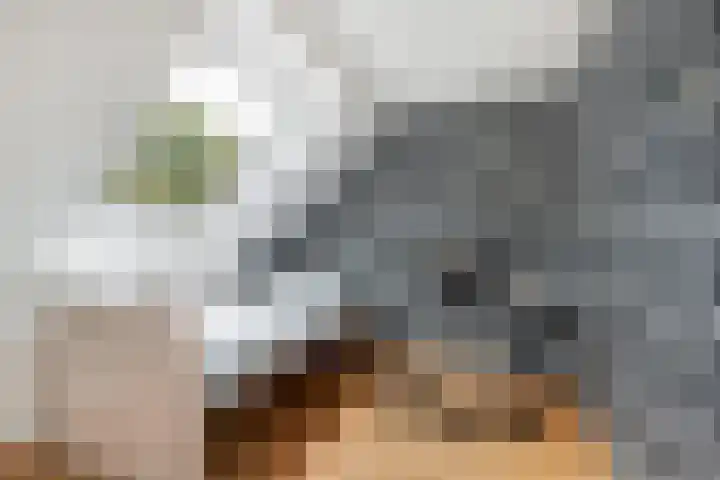Beukvaren 3 Rotterdam thumbnail 30