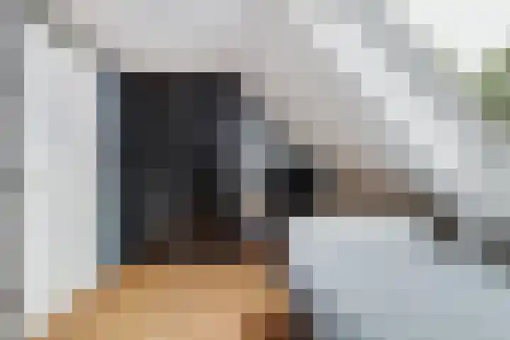 Beukvaren 3 Rotterdam thumbnail 31