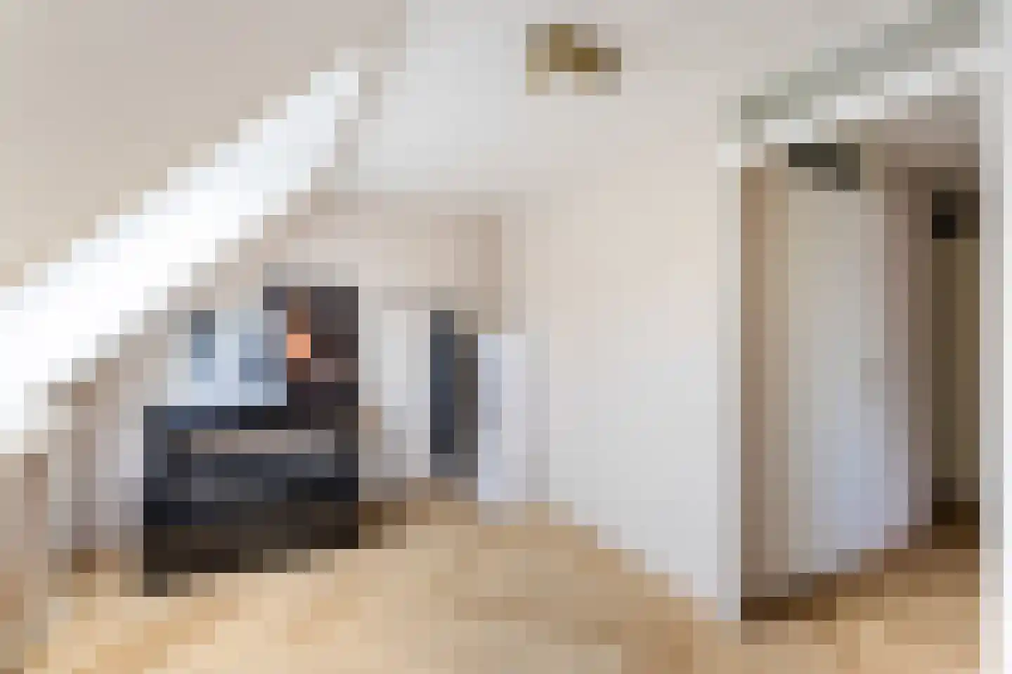 Beukvaren 3 Rotterdam thumbnail 31