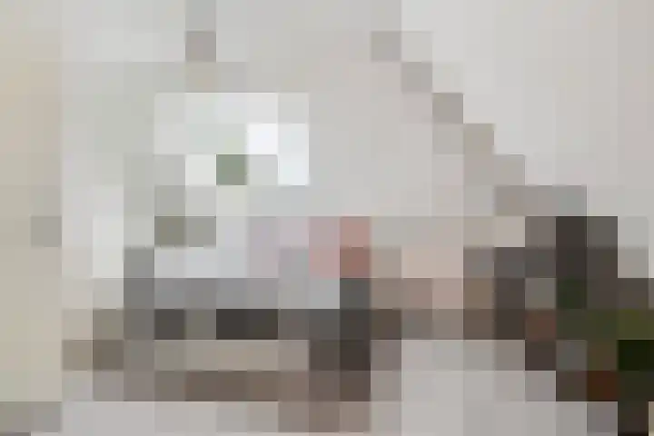 Beukvaren 3 Rotterdam thumbnail 34