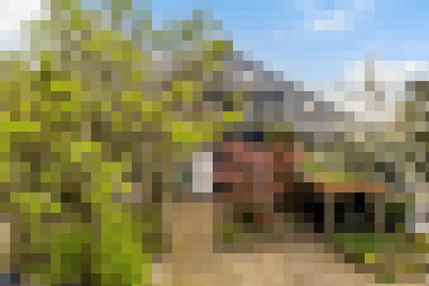 Beukvaren 3 Rotterdam thumbnail 35