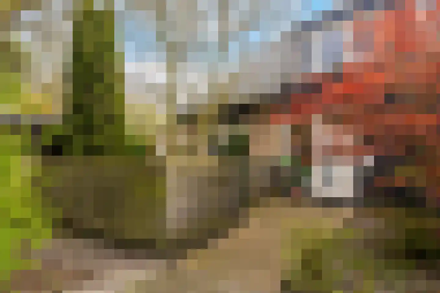 Beukvaren 3 Rotterdam thumbnail 36