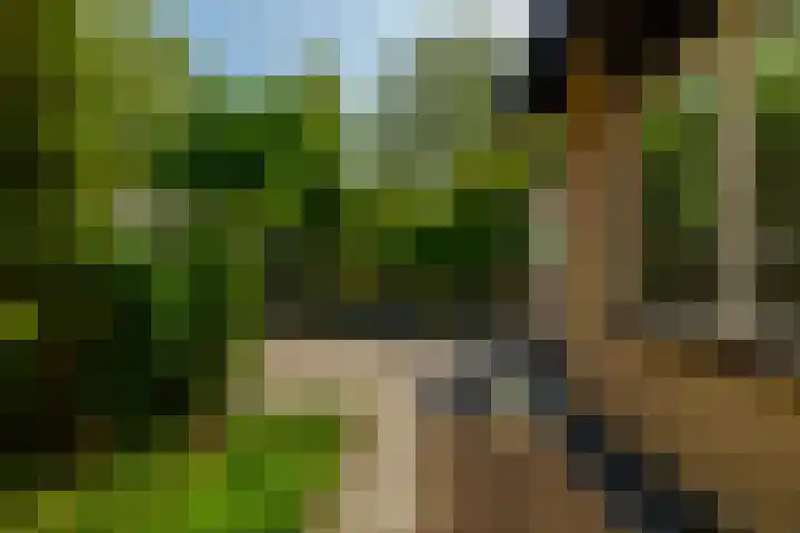 Beukvaren 3 Rotterdam thumbnail 37