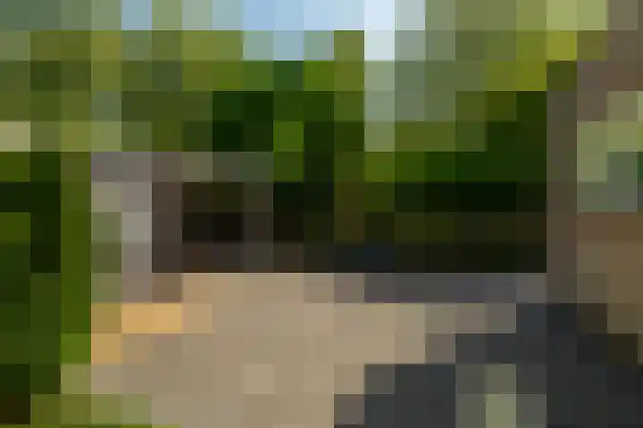 Beukvaren 3 Rotterdam thumbnail 38