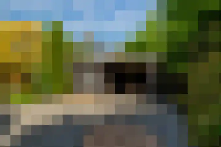 Beukvaren 3 Rotterdam thumbnail 39