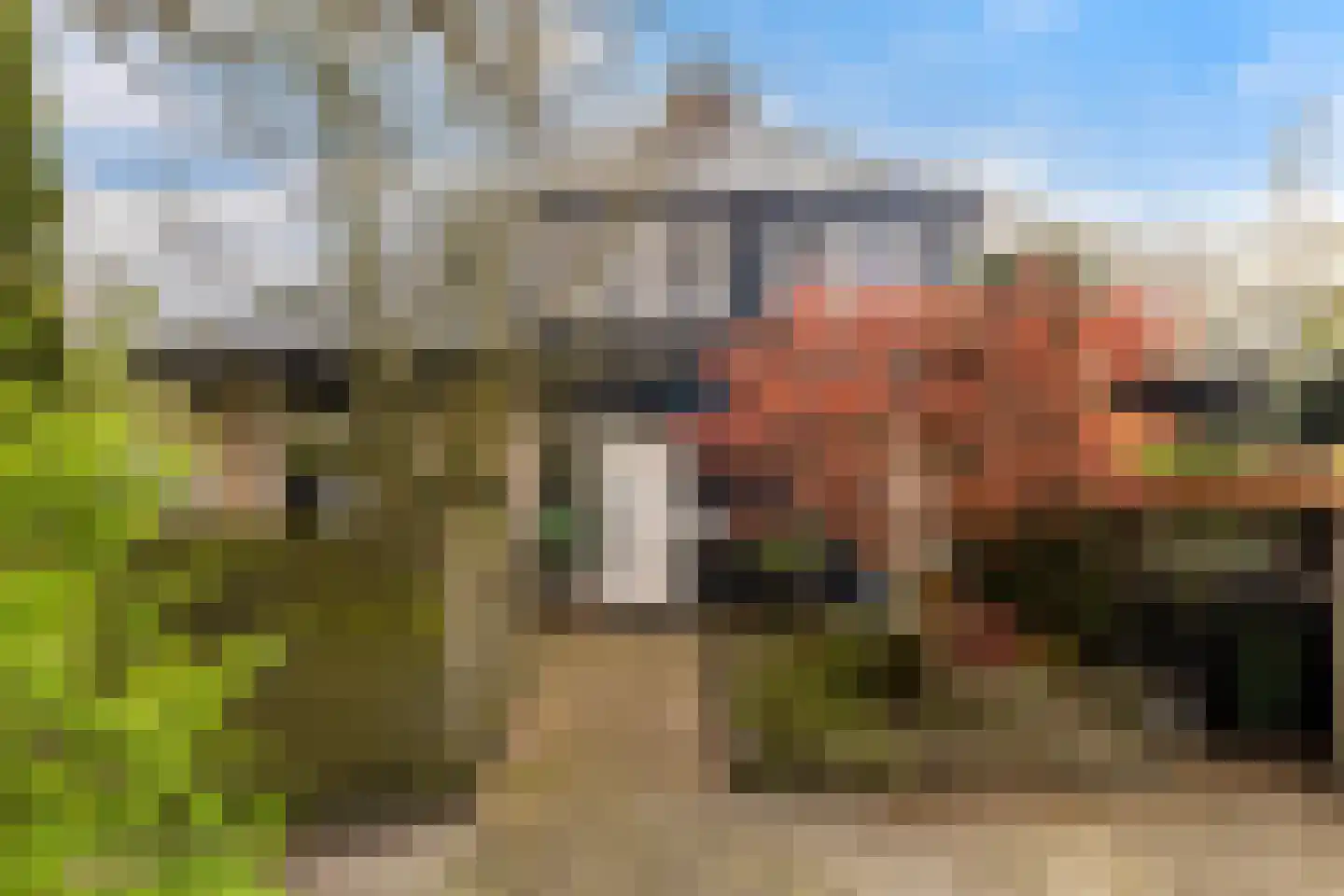 Beukvaren 3 Rotterdam thumbnail 4