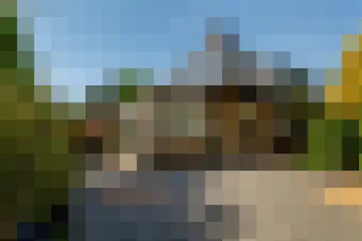 Beukvaren 3 Rotterdam thumbnail 4