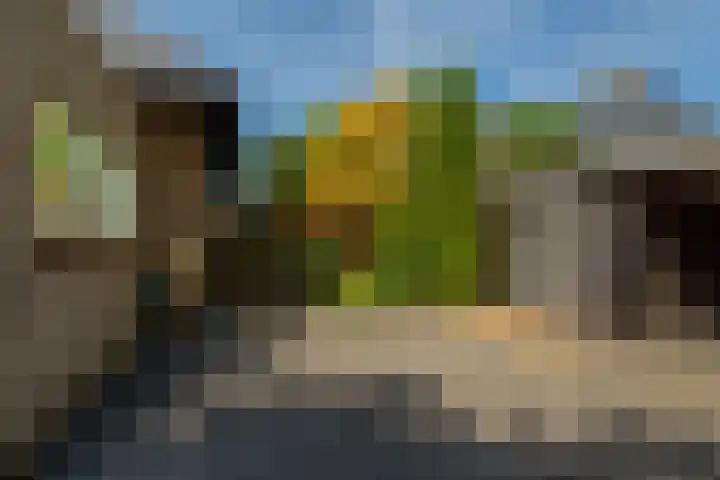 Beukvaren 3 Rotterdam thumbnail 40