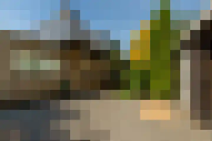 Beukvaren 3 Rotterdam thumbnail 41