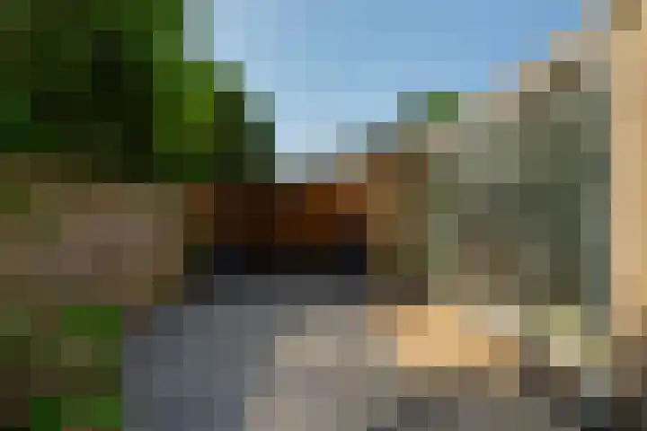 Beukvaren 3 Rotterdam thumbnail 43