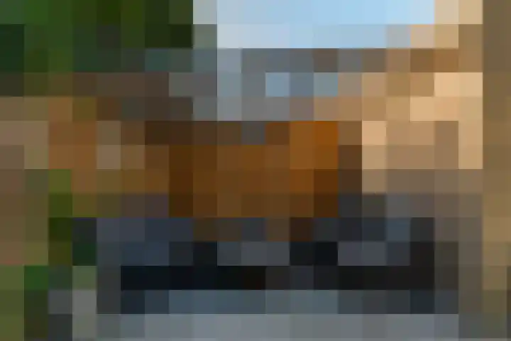 Beukvaren 3 Rotterdam thumbnail 44